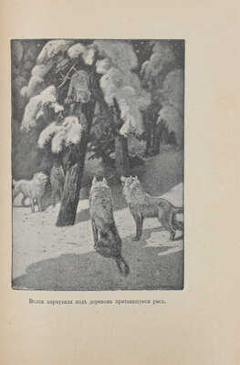 Лонг В. На крайнем севере. (По тропинкам и дорожкам). Очерки из жизни животных на крайнем севере. М., 1909.